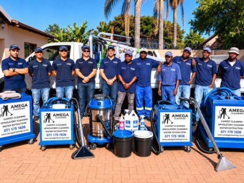 Amega cleaning Team